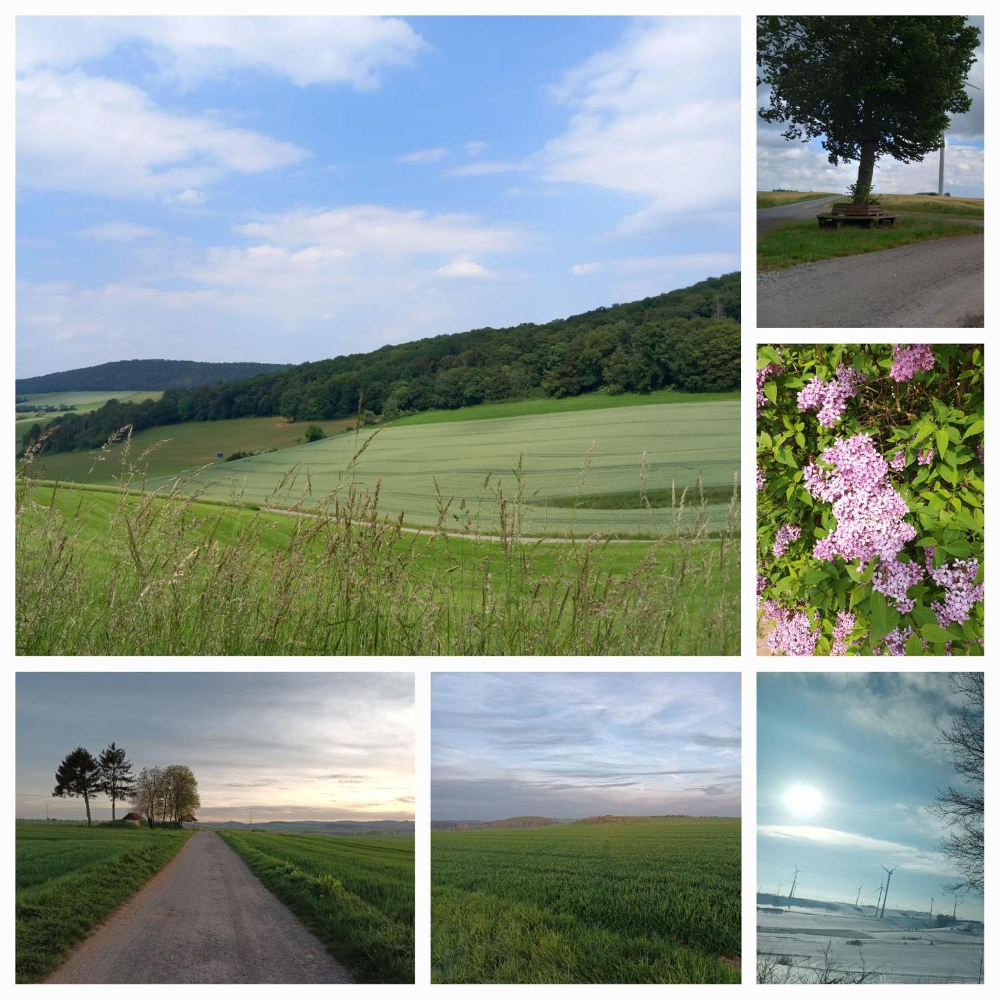 Gaestezimmer Diemelstadt エクステリア 写真